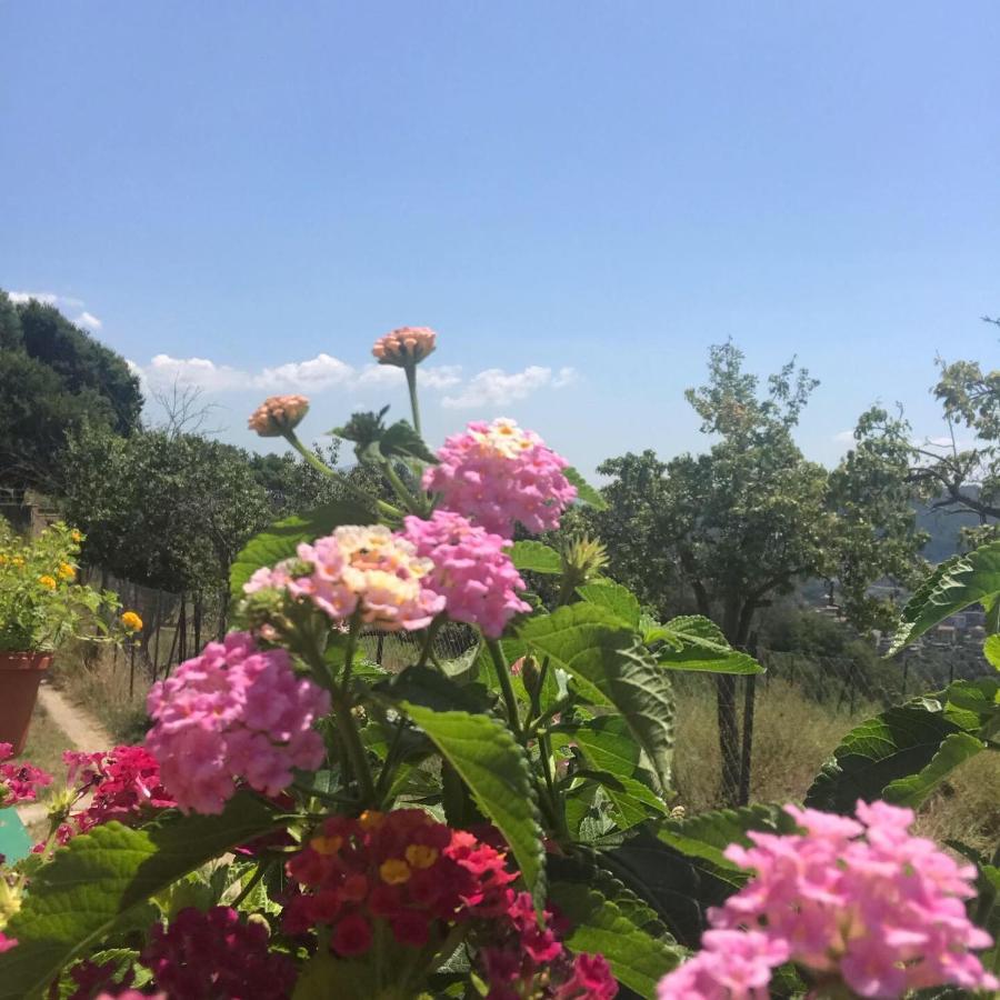 La Riggiola Bed & Breakfast Salerno Exterior photo