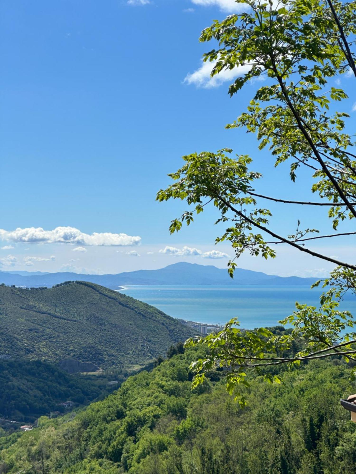 La Riggiola Bed & Breakfast Salerno Exterior photo